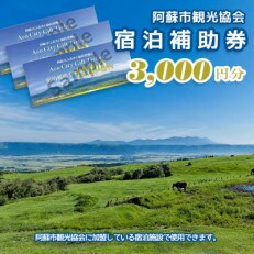 阿蘇市観光協会加盟施設で使用できる宿泊補助券【3,000円分】