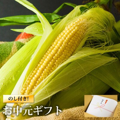 【のし付き】〔夏のギフト〕産地直送!熊本 阿蘇の採れたてスイートコーン5kg