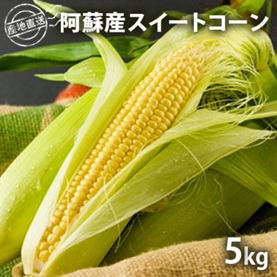 産地直送!阿蘇の採れたてスイートコーン5kg