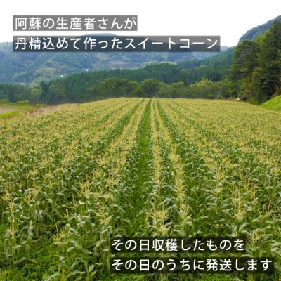 産地直送!阿蘇の採れたてスイートコーン5kg