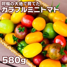 まるで宝石、カラフルミニトマト 約580g