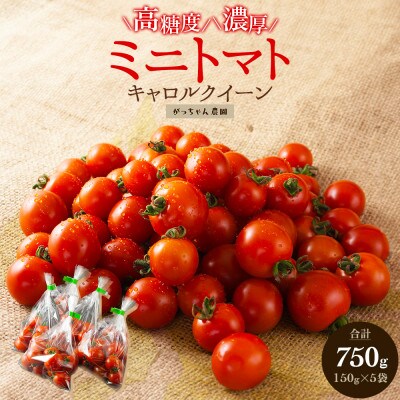 阿蘇がっちゃん農園のミニトマト(キャロルクイーン)750g