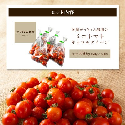 阿蘇がっちゃん農園のミニトマト(キャロルクイーン)750g