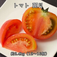 トマト 麗月 約2.4kg