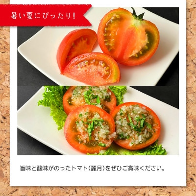 トマト 麗月 約2.4kg