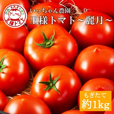 いっちゃん農園の王様トマト～麗月～約1kg