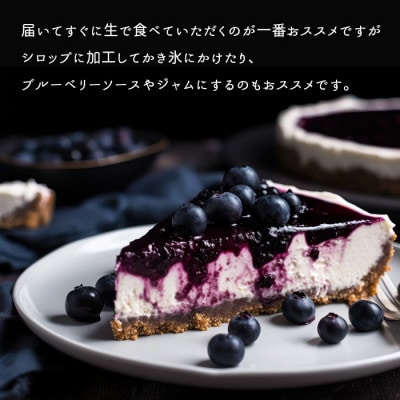 JAS認証 オーガニックブルーベリー 約1.3kg