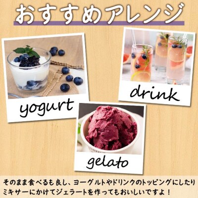 有機JAS認証【冷凍】オーガニックブルーベリー 500g