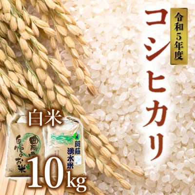 令和5年産　コシヒカリ白米10kg　( 明徳農場 阿蘇ハイランドファーム )