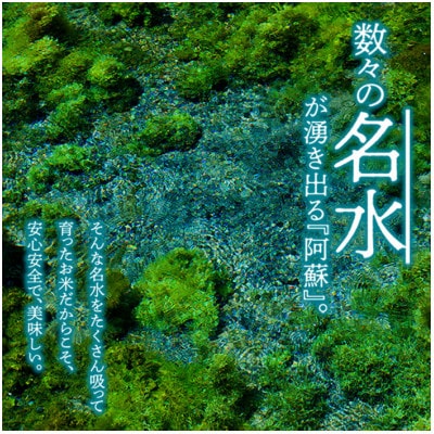 令和5年産　ミルキークイーン白米10kg　(明徳農場 阿蘇ハイランドファーム)