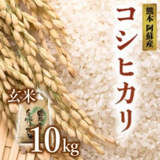 令和5年産 コシヒカリ玄米10kg ( 阿蘇ハイランドファーム )