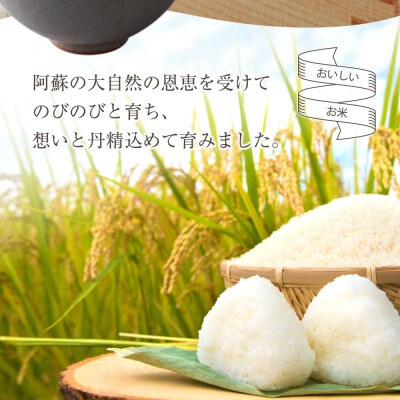 令和5年産 くまさんの輝き 10kg