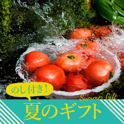 【のし付き】〔夏のギフト〕高冷地　朝採れ夏野菜～ふるさとセット～