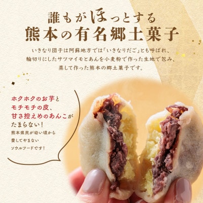 熊本郷土スイーツ「いきなりだんご」食べ比べセット