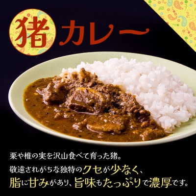 ジビエカレー専門店が作るカレーとやみつきスパイスセット(猪カレー・鹿カレー・味変スパイス4種)