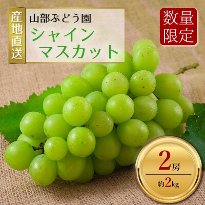 「山部ぶどう園」シャインマスカット 2房(約2kg)　期間限定