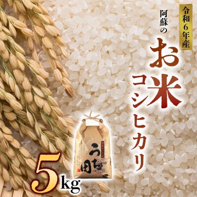 令和6年産　内田農場のお米　コシヒカリ 5kg
