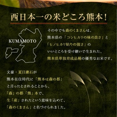 令和6年産　内田農場のお米　森のくまさん 20kg