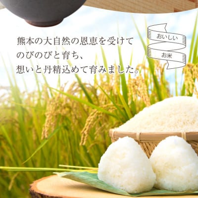【令和6年産】 水穂やまだのお米　(くまさんの輝き)白米 5kg 熊本県 阿蘇市