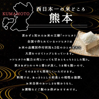 JAS認証 阿蘇で育てた有機のお米 コシヒカリ 5kg 玄米(熊本県阿蘇産 あそ有機農園)
