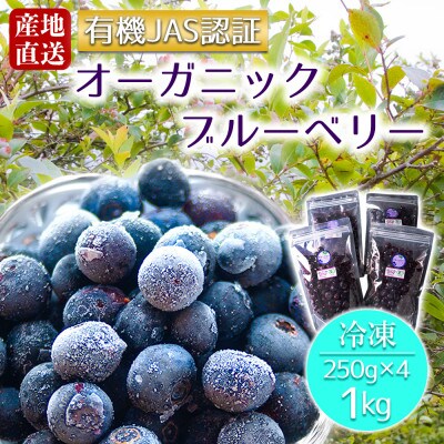 有機JAS認証【冷凍】オーガニックブルーベリー　1kg (250gx4袋)