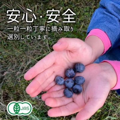 有機JAS認証【冷凍】オーガニックブルーベリー　1kg (250gx4袋)