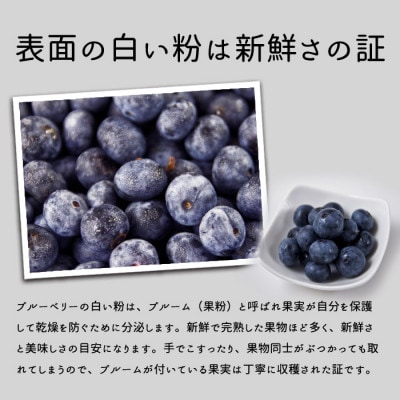 有機JAS認証【冷凍】オーガニックブルーベリー　1kg (250gx4袋)