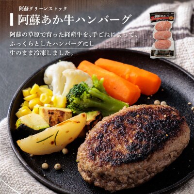 豪華5種類のあか牛のハンバーグ食べ比べセット(15個)