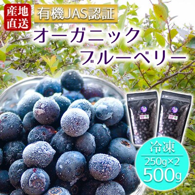 有機JAS認証【冷凍】オーガニックブルーベリー　500g(250gx2袋)