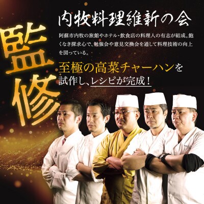 「至極」の高菜チャーハン　250g×10パック