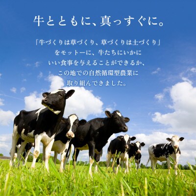 三ツ星を堪能!ASOMILK800mlとのむヨーグルト800ml 各2本(計4本)セット