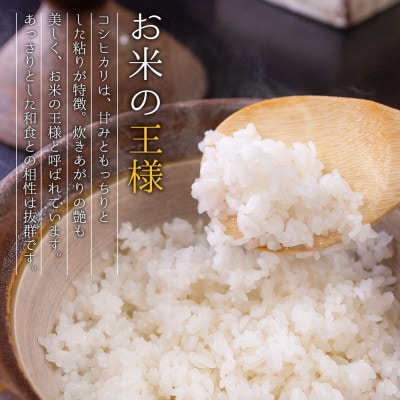 【コシヒカリ・農家指定無】阿蘇の美味しいお米をお届け!10kg (5kg×2袋)