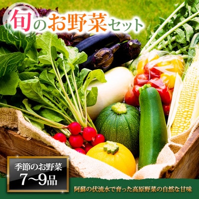 季節のお野菜セットL 旬のお野菜の中から7～9品を厳選してお届け