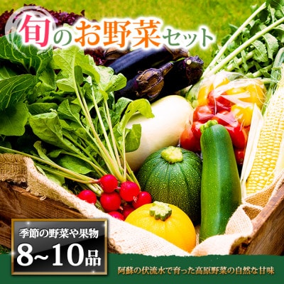 季節のお野菜セットL 旬のお野菜の中から8～10品を厳選してお届け