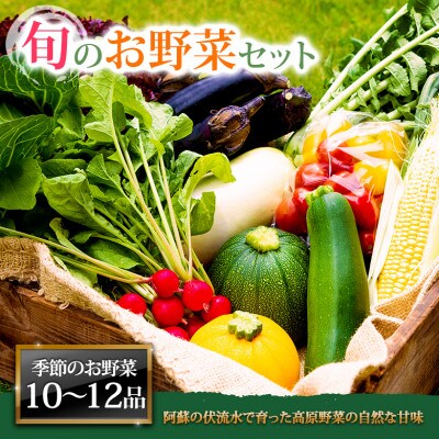季節のお野菜セットXL 旬のお野菜の中から10～12品を厳選してお届け