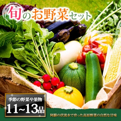 季節のお野菜セットXL 旬のお野菜の中から11～13品を厳選してお届け
