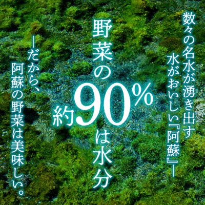季節のお野菜セットXL 旬のお野菜の中から10～12品を厳選してお届け