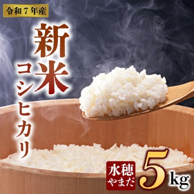 新米 令和7年産 コシヒカリ 5kg (白米) 水穂やまだ