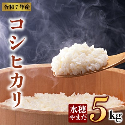 令和7年産 コシヒカリ 5kg (白米) 水穂やまだ
