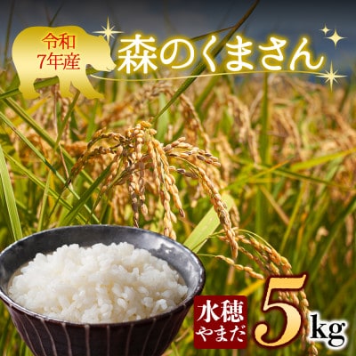 令和7年産　森のくまさん 5kg (白米) 水穂やまだ