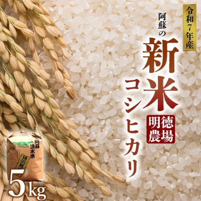 R7年産 コシヒカリ 5kg  (白米)  明徳農場