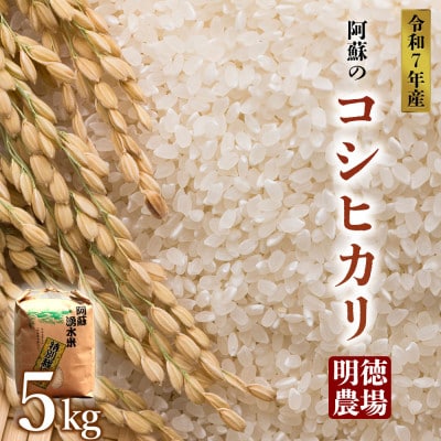 R7年産 コシヒカリ 5kg  (白米)  明徳農場