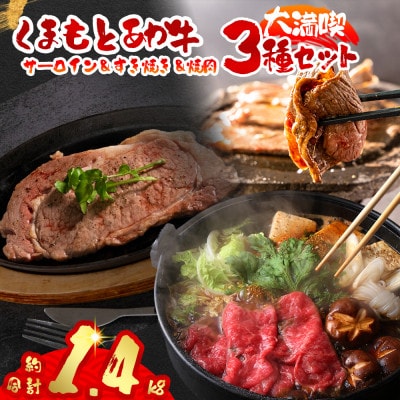 くまもとあか牛大満喫!サーロインステーキ&すき焼き&焼肉3種セット(計1.4kg)