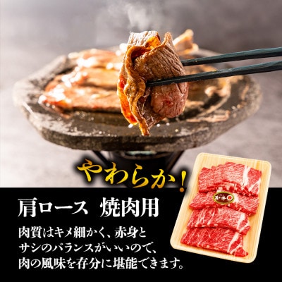 くまもとあか牛大満喫!サーロインステーキ&すき焼き&焼肉3種セット(計1.4kg)