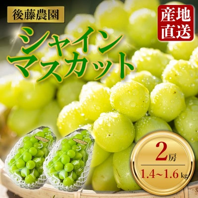 「後藤農園」 シャインマスカット 約1.4kg～約1.6kg 2房