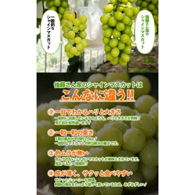 「後藤農園」 シャインマスカット 約1.4kg 2房