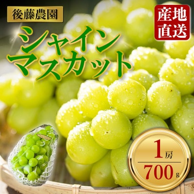 「後藤農園」 シャインマスカット 約700g 1房