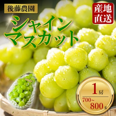 「後藤農園」 シャインマスカット 約700g～800g　1房
