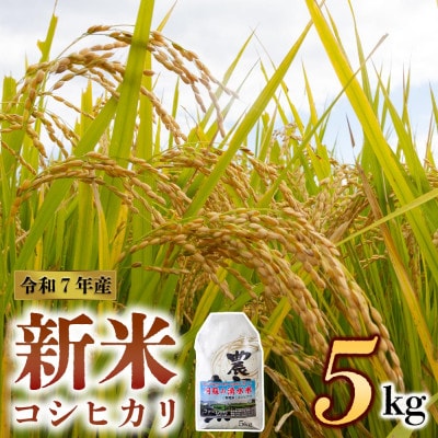 【予約】ファーム中村 R7年産 コシヒカリ 5kg(白米)