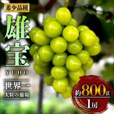 希少なぶどう「雄宝」約800g